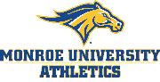 Monroe University Logo